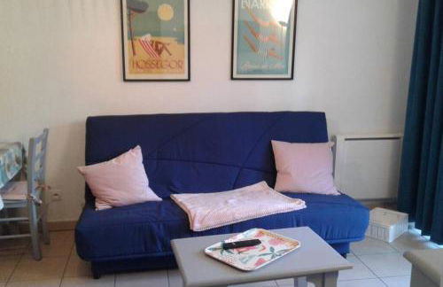 T2 Antigua Ondres plage avec piscine et tennis - Foto 12