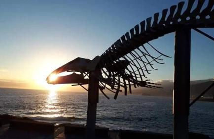 Suite Bufadero - Foto 70