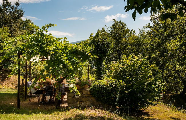 Agriturismo Azienda Agricola il Pozzo - Foto 52