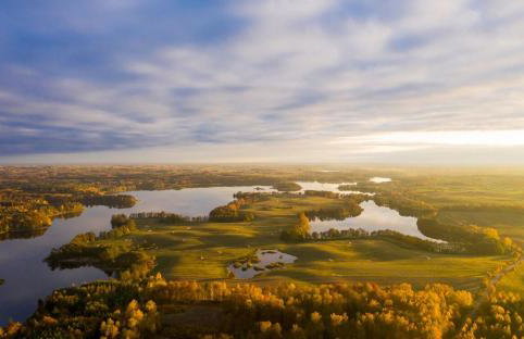 Siedlisko MiłoBrzózka - Photo 17