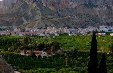 La Joya del Valle de Ricote - Foto 34