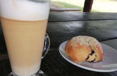 DOMKI w Zaciszu - Foto 32