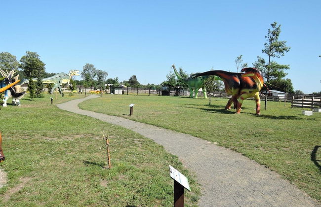 Comfortable Studio Close to the sea - Photo 25