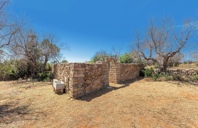 3621 Tenuta Terra del Sole by Perle di Puglia - Foto 26