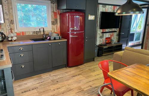 Sandy Balls Holiday Park Pet Friendly Lodge - Photo 14