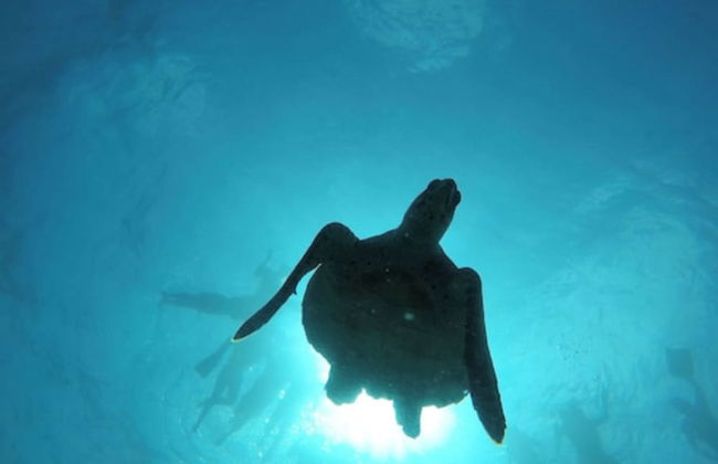 Thalassa Beach and Pool Villa - Foto 45