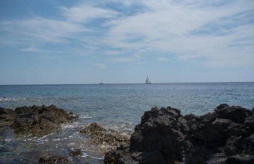 Sakarun - Ena - Photo 62