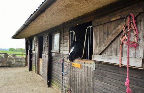 Queen Bower Farm Lodge - Foto 82