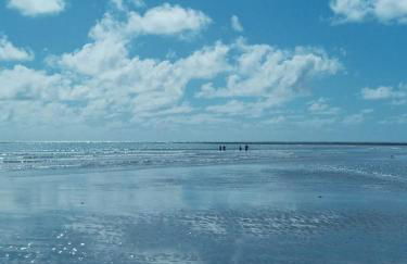 Casa para temporada 50m da praia em Condomínio 2 Suítes Ar Wi-Fi Rápida Ideal para Família - Foto 33