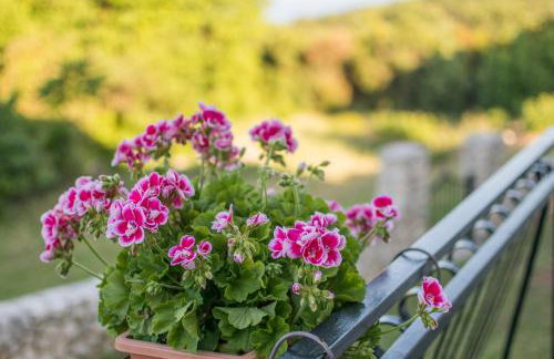 House Bruno - Foto 17