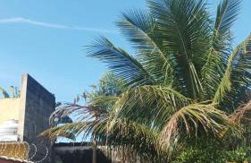 Casa Temporada Bertioga- Indáia - Foto 75