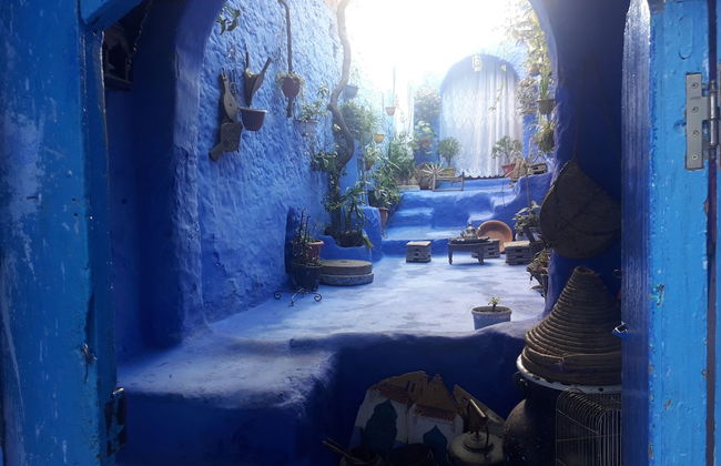 Maison Bahija - Photo 31