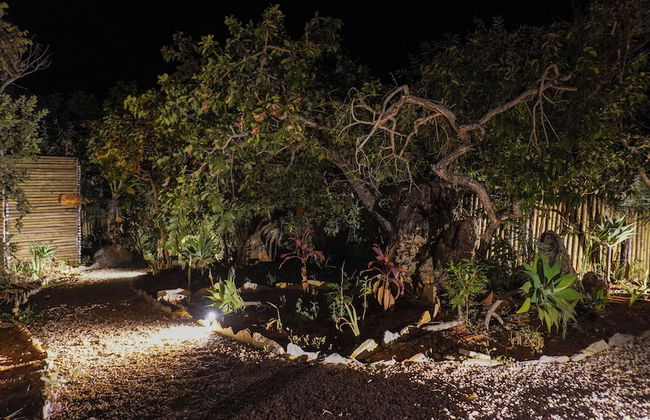 Vila Flor - Chapada dos Veadeiros - Foto 38