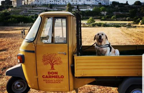 Casa Don Carmelo-Holiday' s Food Experience - Foto 39