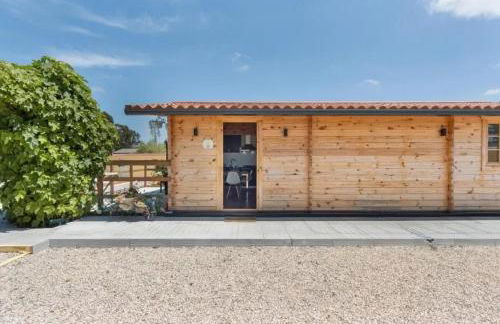 Comfortable House Ponte de Vagos - Foto 29