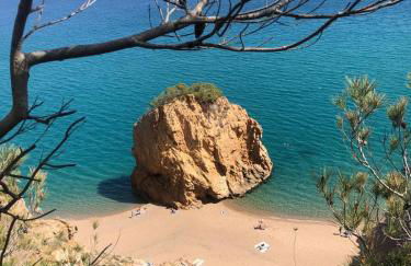 Mas Pinell Piscina - Foto 27