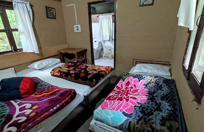 Hail Himalayas - Foto 11