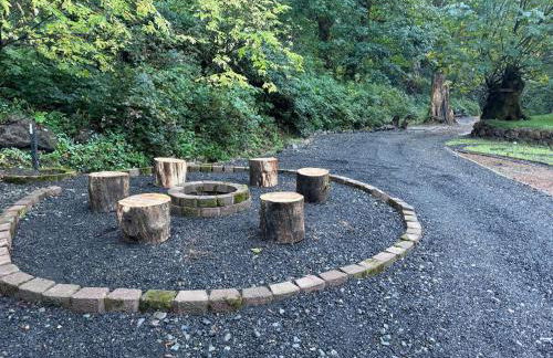 Enchanted Hollow- Cozy, Romantic Woodland Getaway - Photo 30