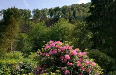 Ferienwohnung für Naturfreunde - Foto 14