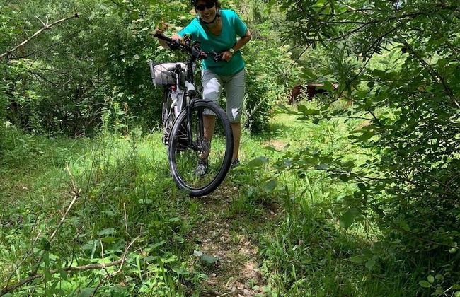 SONNENHOF Apartments - Photo 18