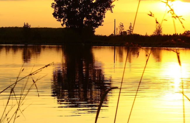 Lama di Valle Rosa - Foto 56