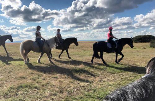 3 Guests - Pet Friendly - Grid Tree-House - Foto 27