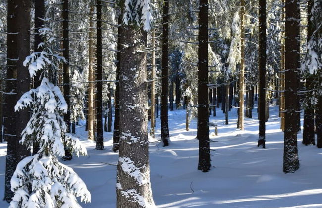 Holiday Apartment Busch - Foto 18