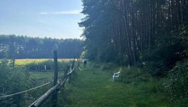 Country house villa near Berlin - Foto 5