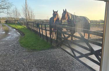 The Bungalow - Photo 39