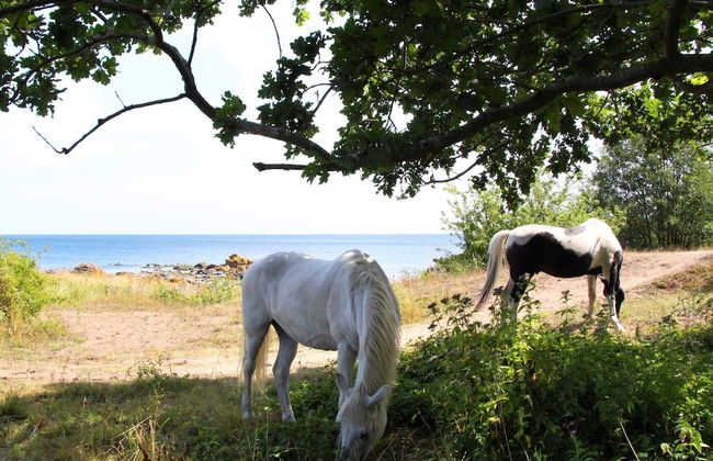 6 Person Holiday Home in Svaneke - Foto 6