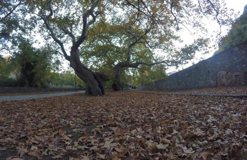 Stephania's Stone House - Foto 39