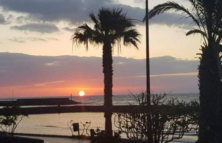 En las Nubes de Güimar - Foto 31