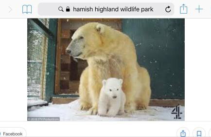 The Sheriffs Lodge - Photo 64