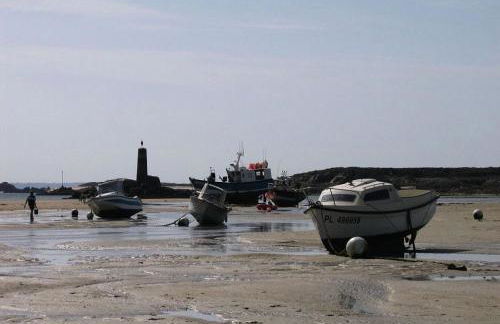 Résidence G104-ile Grande - Les Dunes maison avec jardin clos à Ile Grande MAE-3434 - Foto 10