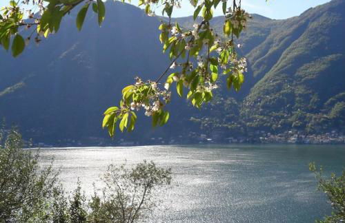 Casa privata con splendida vista lago "Il Gallicantus" - Foto 1