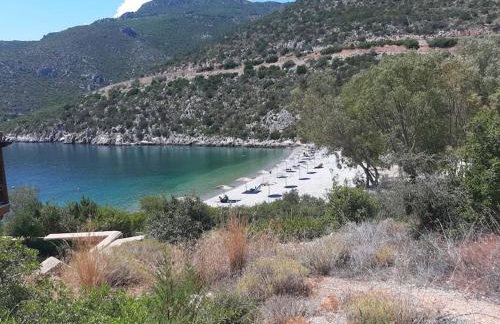 VILLA KATERINA Arkadian village - Photo 45