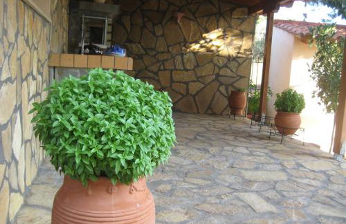 Achladi Beach - Photo 75