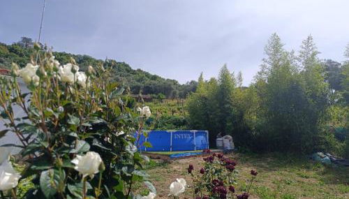 Finca del Abu - Foto 3