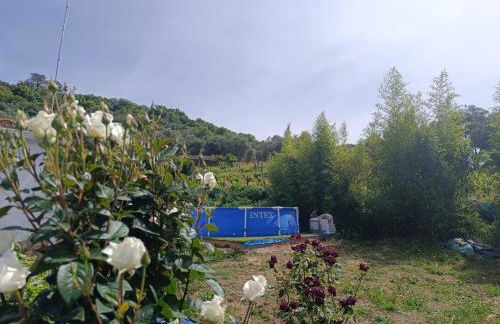 Finca del Abu - Foto 3