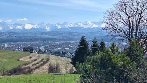 Szczyt Beztroski- Domki Wellness Balia & Sauna - Foto 4