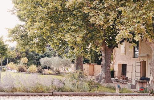 Gite du Mas de la Finière ,avec SPA intérieur - Foto 1