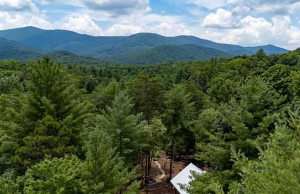 Three Loves Cabin - Three Loves Cabin - Cherry Log GA - Hot Tub, Fire Pit - Foto 59