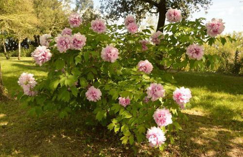 Agriturismo Riparossa - Foto 55