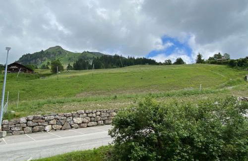 Studio 4 pers. au pied des pistes, plein sud avec balcon - Le Grand-Bornand Chinaillon - FR-1-241-225 - Foto 17