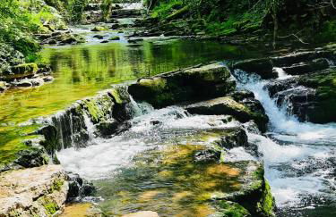 Haus Steiner - Ruhige, top bewertete Ferienwohnung in Lauterbach - Schwarzwald - Foto 53