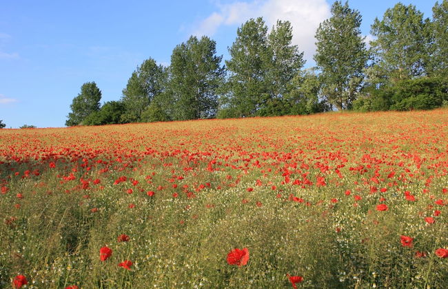 Moderne Ferienwohnung in Bastorf in Meernaehe - Foto 22