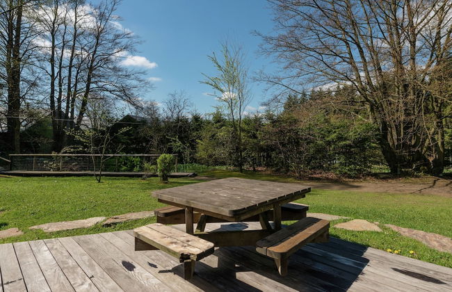 Perfect Holiday Home in Waimes With Swimming Pool - Photo 12