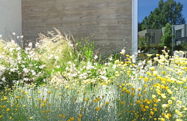 Moderna casa para 5 Chacras de Coria - Foto 11