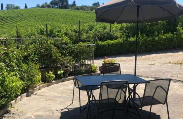 Il Gufo del Chianti - Foto 13