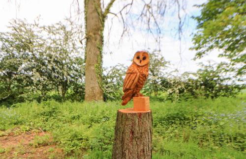 Bracken Fern - Photo 25
